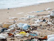 Fokus Forschung - Plastikmüll in den Weltmeeren